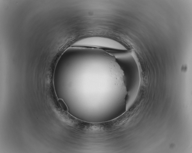 X0000096170546200802011321