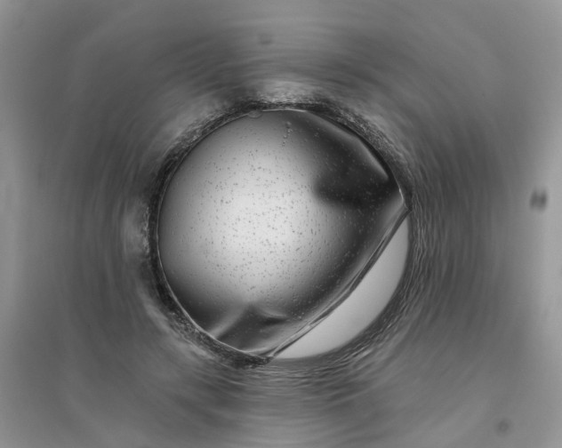 X0000096170547200802011321