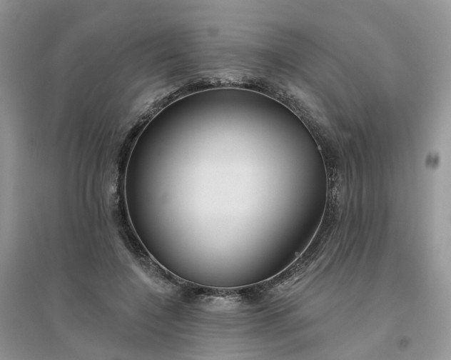 X0000096170548200802011321