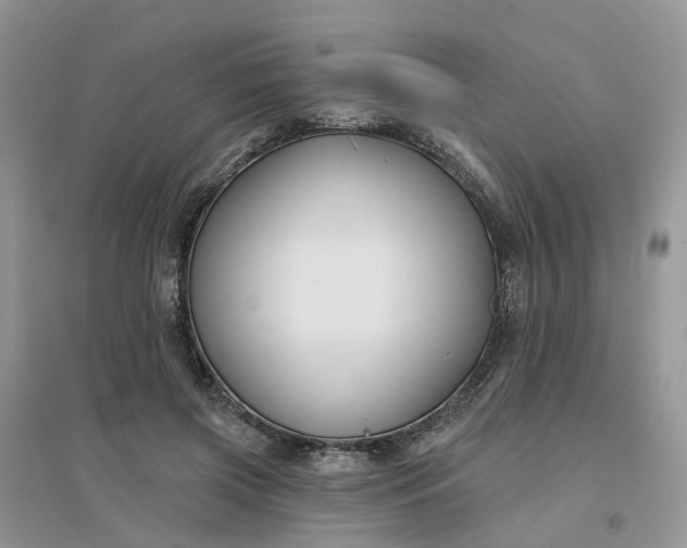 X0000096170549200802011321