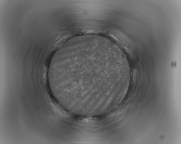 X0000096170550200802011321