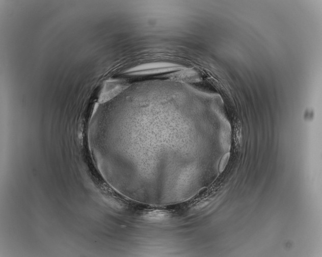 X0000096170551200802011321