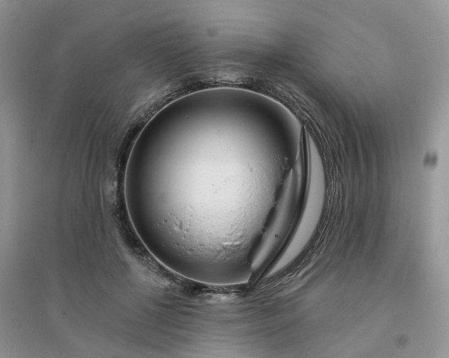 X0000096170552200802011321