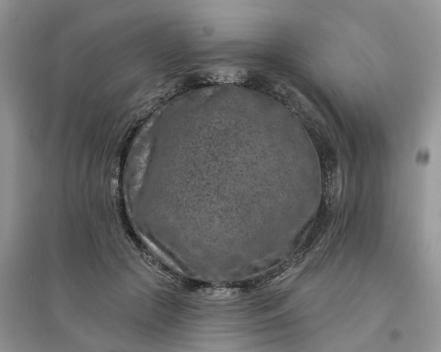 X0000096170553200802011321