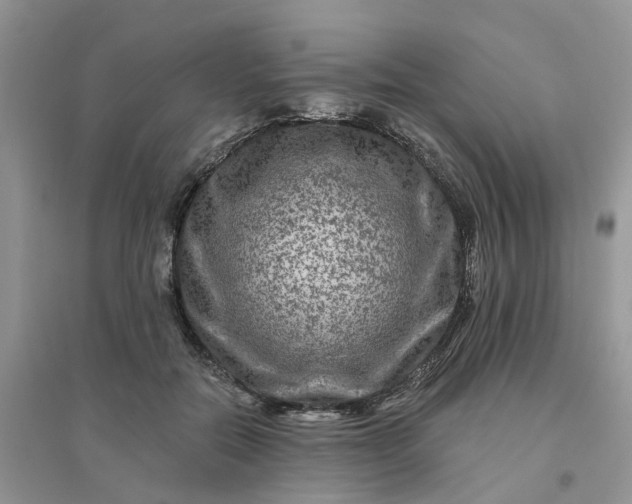 X0000096170554200802011321