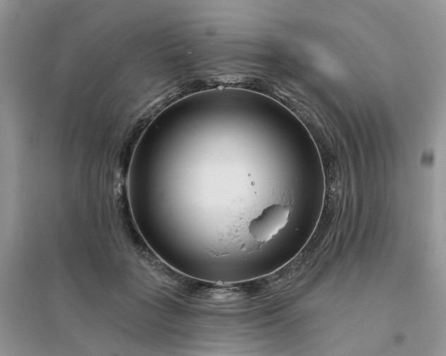 X0000096170555200802011321