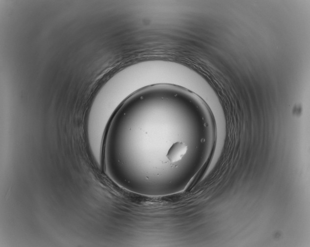 X0000096170556200802011321