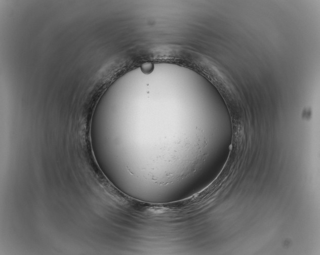 X0000096170557200802011321