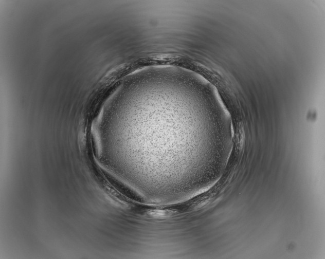 X0000096170558200802011321