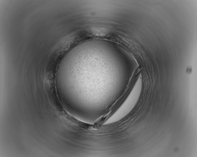 X0000096170559200802011321