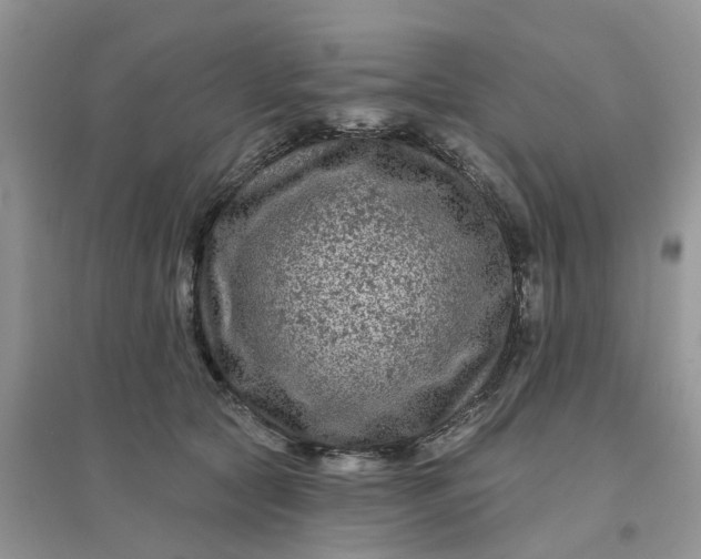 X0000096170561200802011321