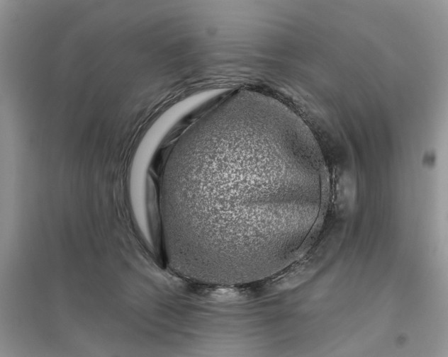 X0000096170562200802011321