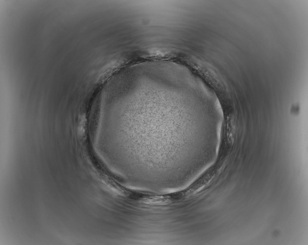 X0000096170563200802011321