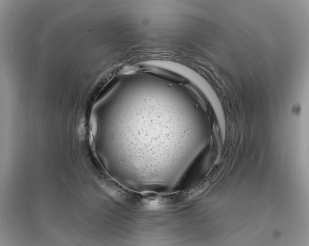 X0000096170564200802011321