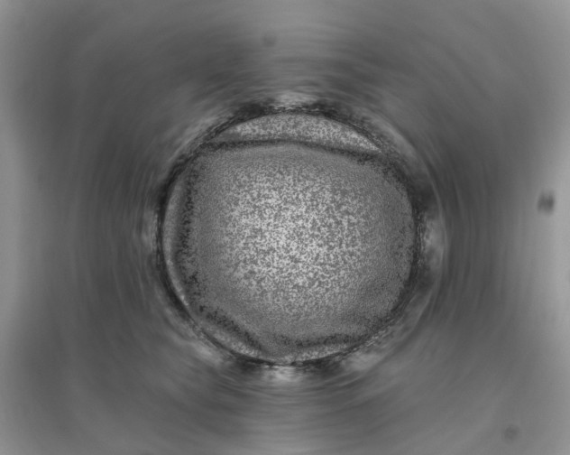 X0000096170565200802011321