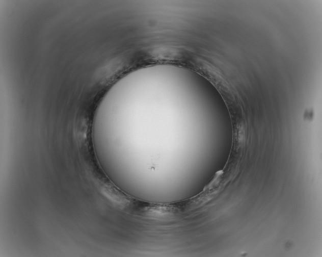 X0000096170567200802011321