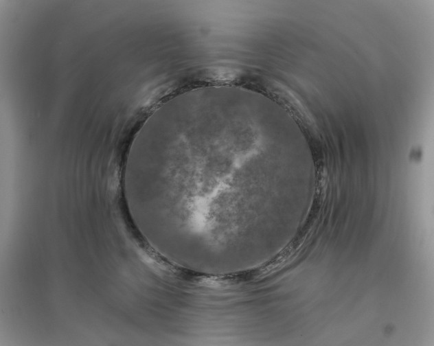 X0000096170568200802011321