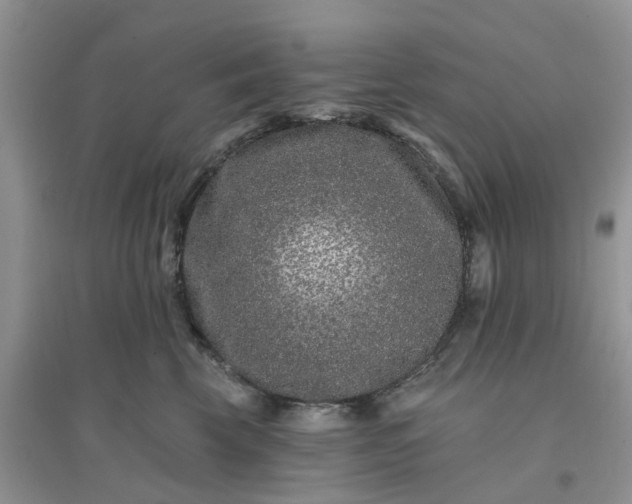 X0000096170569200802011321