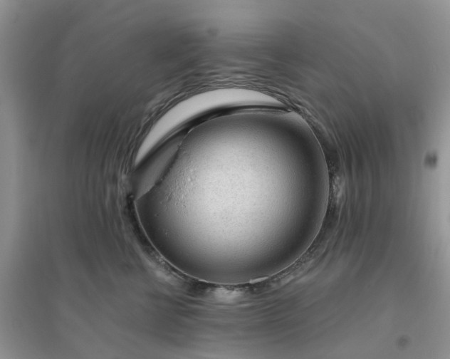 X0000096170570200802011321