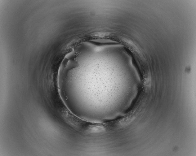 X0000096170572200802011321