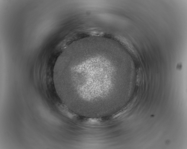 X0000096170573200802011321