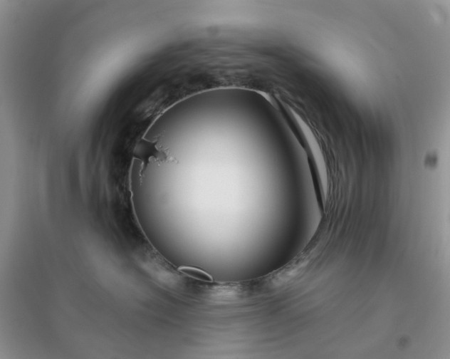 X0000096170574200802011321