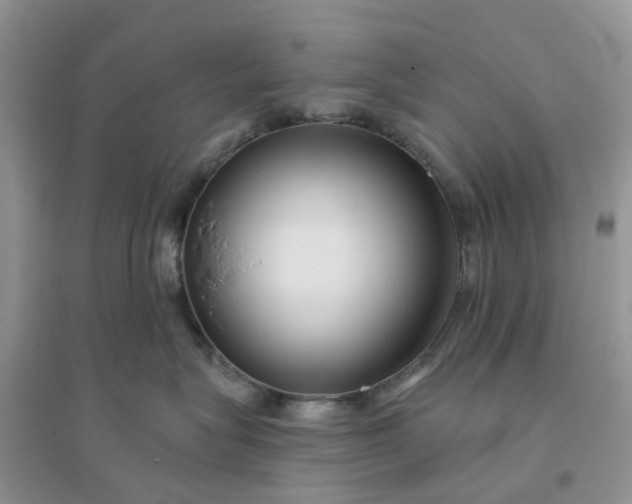 X0000096170575200802011321