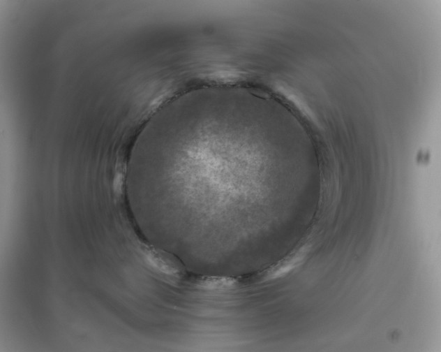 X0000096170576200802011321