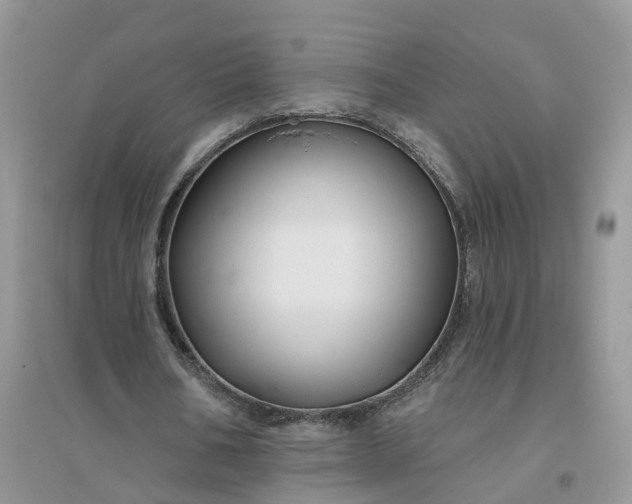 X0000096170578200802011320