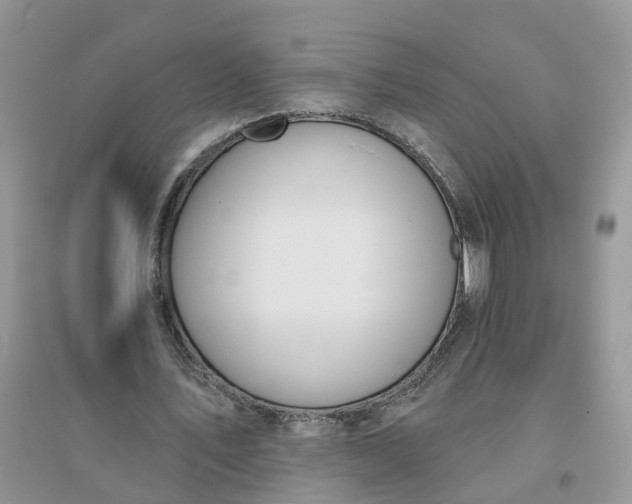 X0000096170579200802011320