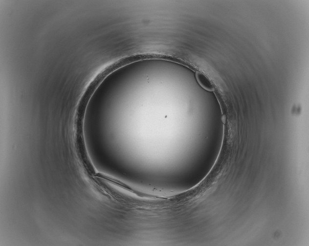 X0000096170580200802011320