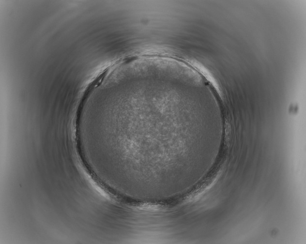 X0000096170581200802011320