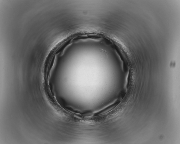 X0000096170582200802011320