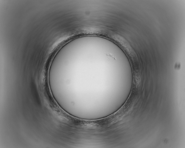 X0000096170583200802011320