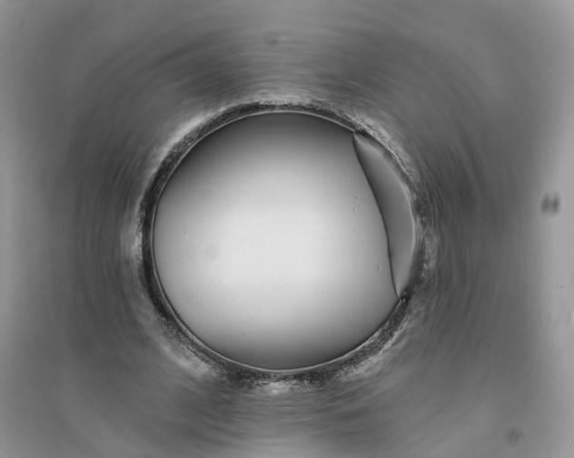 X0000096170584200802011320