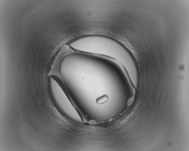 X0000096170585200802011320