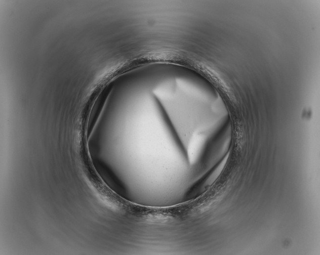 X0000096170586200802011320