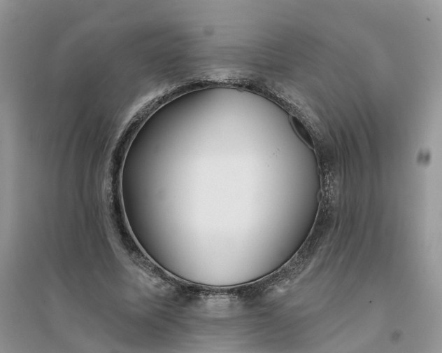 X0000096170587200802011320