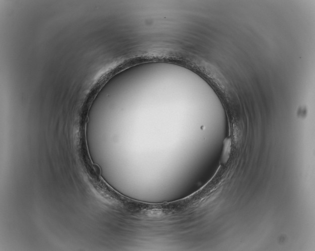 X0000096170588200802011320