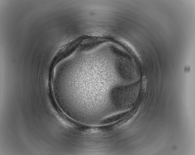 X0000096170589200802011320