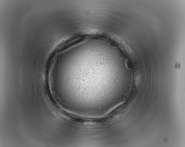 X0000096170591200802011320