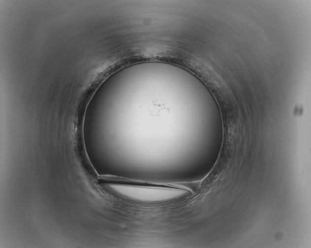 X0000096170592200802011320