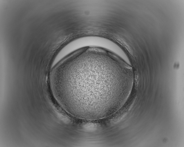 X0000096170593200802011320