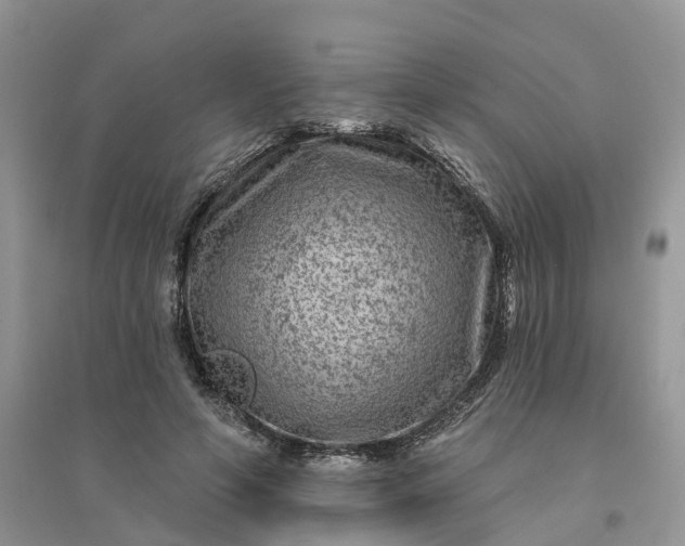 X0000096170594200802011320