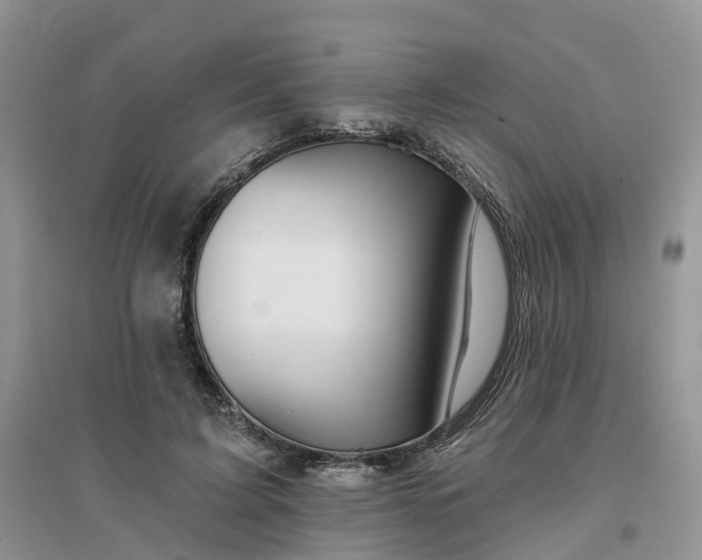 X0000096170595200802011320