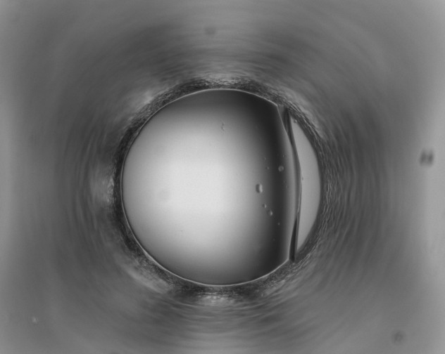 X0000096170596200802011320