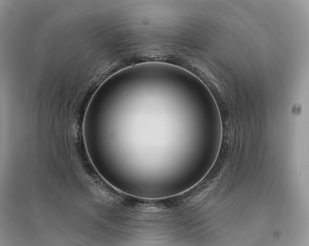 X0000096170597200802011320