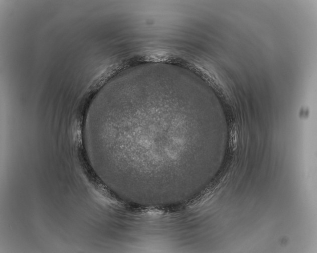 X0000096170598200802011320