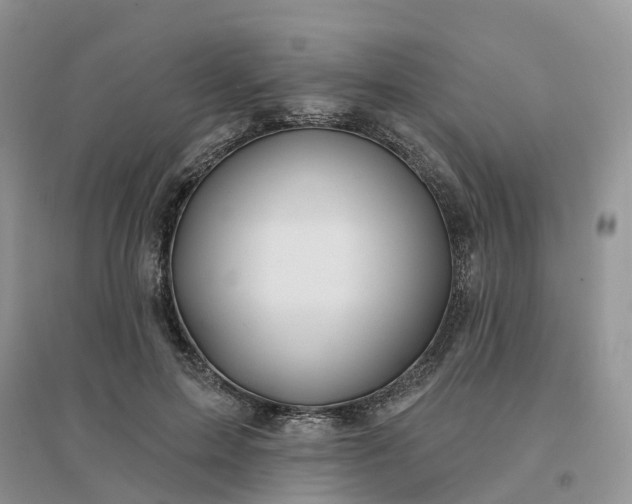 X0000096170599200802011320