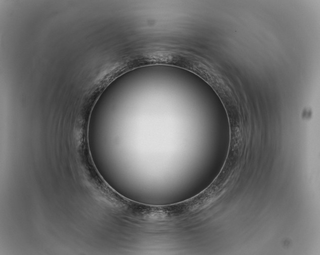 X0000096170600200802011320